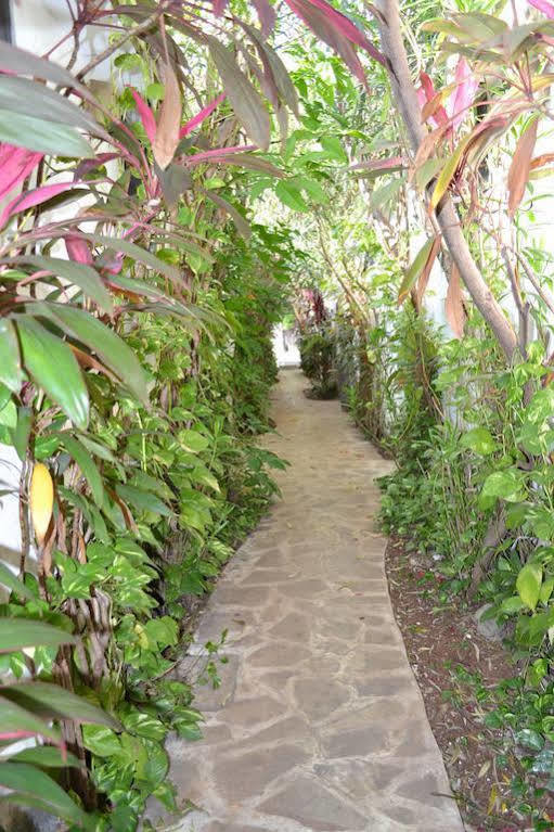 Hotel Aventura Mérida Kültér fotó