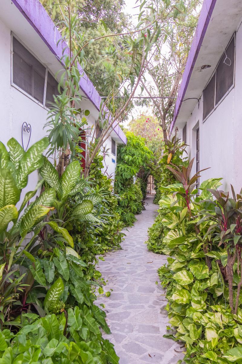 Hotel Aventura Mérida Kültér fotó